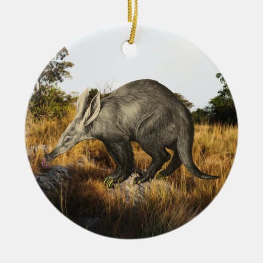 Aardvark Keramisch Ornament (Voorkant)