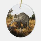 Aardvark Keramisch Ornament (Links)