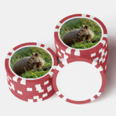 Aardvark Poker Chips (Opstapeling)