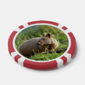 Aardvark Poker Chips (Enkel)