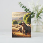 Aardvark Tranquil Harmony: Wildlife Duo in Meadow Briefkaart (Staand voorkant)