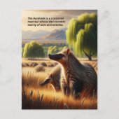 Aardvark Tranquil Harmony: Wildlife Duo in Meadow Briefkaart (Voorkant)