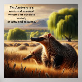 Aardvark Tranquil Harmony: Wildlife Duo in Meadow Poster (Voorkant)