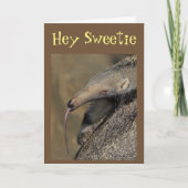 AARDVARK ZAL "VAN JULLIE VREEMD BEHOEVEN" IK WEET. KAART (Voorkant)