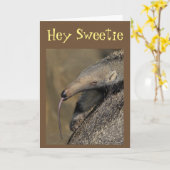 AARDVARK ZAL "VAN JULLIE VREEMD BEHOEVEN" IK WEET. KAART (Gele Bloem)