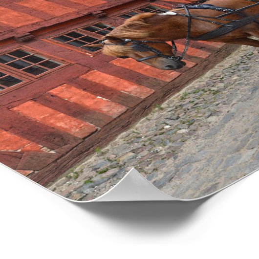 Aarhus, Denemarken, Paard en Buggy Poster (Hoek)