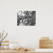 Aaron Rodgers berg die op de Stairway naar Poster (Keuken)