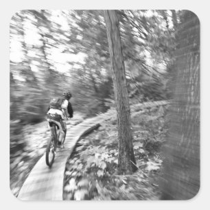 Aaron Rodgers berg die op de Stairway rijdt naar Vierkante Sticker