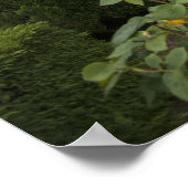 aartsbisschop paleis van Braga met tuin Poster (Hoek)