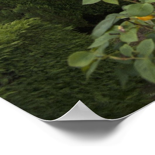 aartsbisschop paleis van Braga met tuin Poster (Hoek)