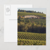 Aartstop tan bouwt op heuvel briefkaart (Voorkant / Achterkant)