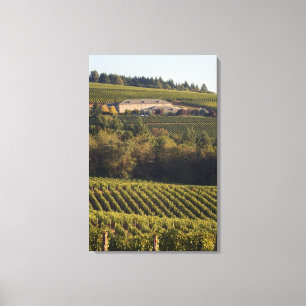 Aartstop tan bouwt op heuvel canvas afdruk