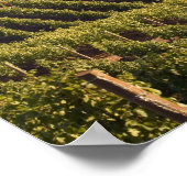 Aartstop tan bouwt op heuvel poster (Hoek)