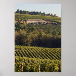 Aartstop tan bouwt op heuvel poster