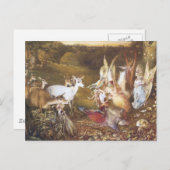  aas Het betoverde bos Briefkaart (Voorkant / Achterkant)