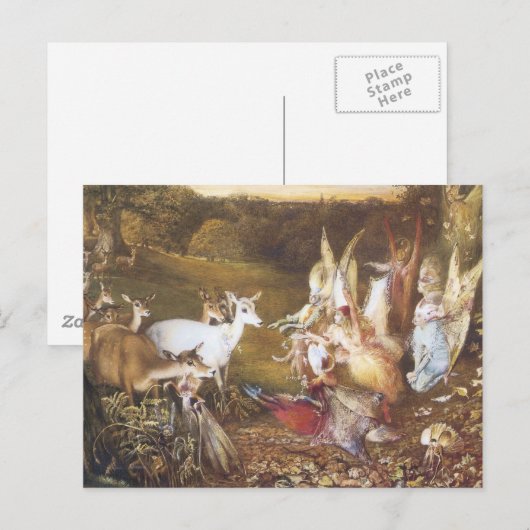  aas Het betoverde bos Briefkaart (Voorkant / Achterkant)