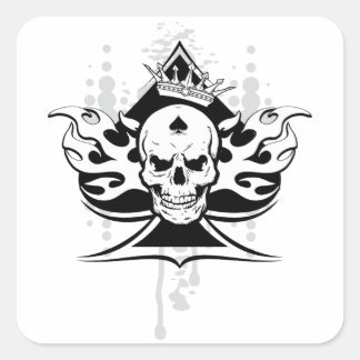 AAS VAN SCHOPPEN schedel Vierkante Sticker