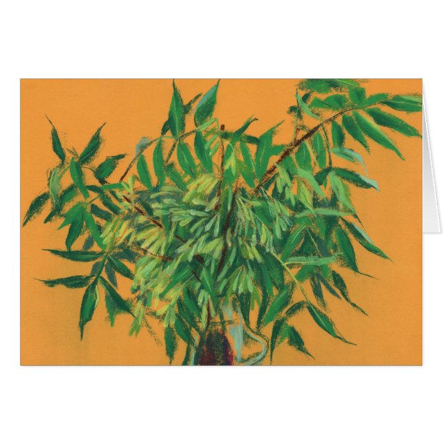 Aasboom, groene gele zomergroene bloem (Voorkant Horizontaal)