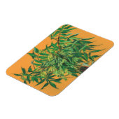 Aasboom, groene gele zomergroene bloem magneet (Linkerzijde)