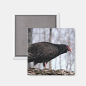 Aasgier Magneet (Voorkant / Achterkant)