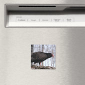 Aasgier Magneet (Insitu (Vaatwasser))