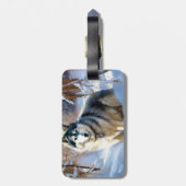 Aaskan Malamute liet het sneeuwen Kerstmis Bagagelabel (Achterkant verticaal)