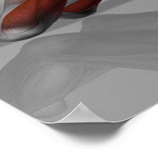 Ab Wiel Poster (Hoek)