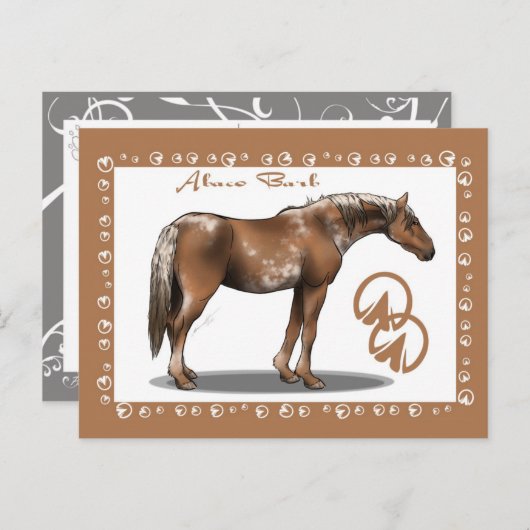 Abaco Barb Briefkaart (Voorkant / Achterkant)