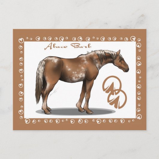 Abaco Barb Briefkaart (Voorkant)