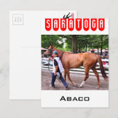 Abaco - Phipps Stables Briefkaart (Voorkant / Achterkant)