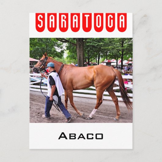 Abaco - Phipps Stables Briefkaart (Voorkant)