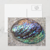 Abalone Briefkaart (Voorkant / Achterkant)