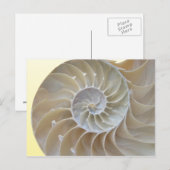 Abalone Briefkaart (Voorkant / Achterkant)