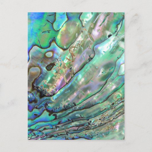 Abalone Briefkaart (Voorkant)