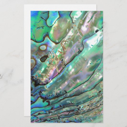 Abalone Briefpapier (Voorkant / Achterkant)