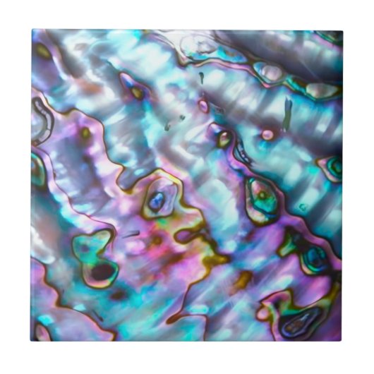 Abalone Ceramic Tile Tegeltje (Voorkant)