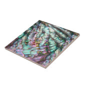 Abalone keramische Tegel / onderzetter Tegeltje (Zijkant)