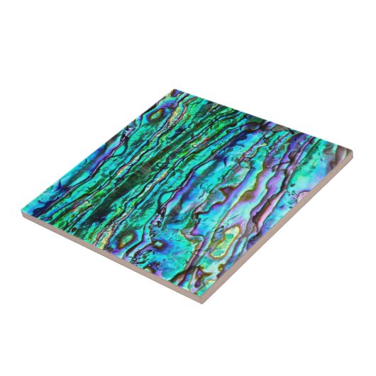 Abalone keramische tegel tegeltje (Zijkant)