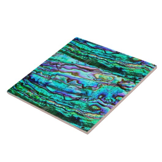 Abalone keramische tegel tegeltje (Zijkant)