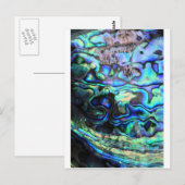 Abalone paua schelp briefkaart (Voorkant / Achterkant)