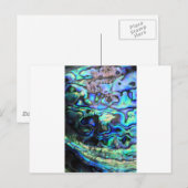 Abalone paua schelp briefkaart (Voorkant / Achterkant)