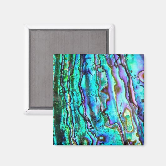 Abalone paua shell afbeelding square magnet (Voorkant / Achterkant)