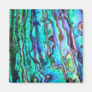 Abalone paua shell afbeelding square magnet