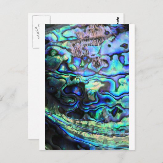 Abalone paua shell briefkaart (Voorkant / Achterkant)