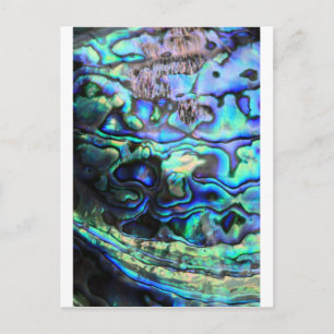 Abalone paua shell briefkaart