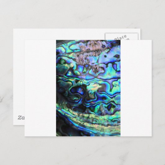 Abalone paua shell briefkaart (Voorkant / Achterkant)