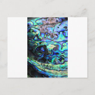 Abalone paua shell briefkaart