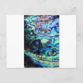 Abalone paua shell briefkaart (Voorkant)