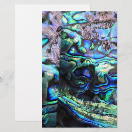 Abalone paua shell detail briefpapier (Voorkant / Achterkant)