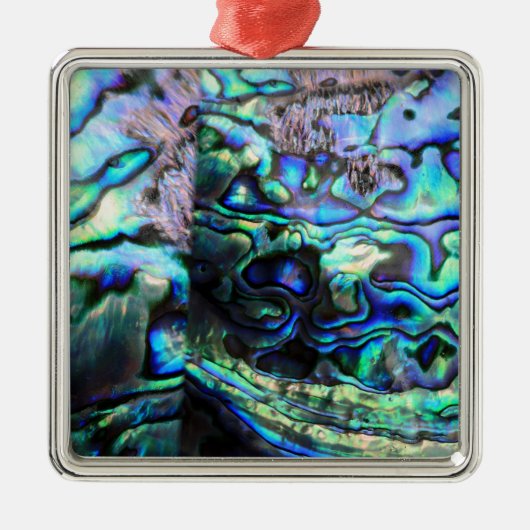 Abalone paua shell detail metalen ornament (Voorkant)